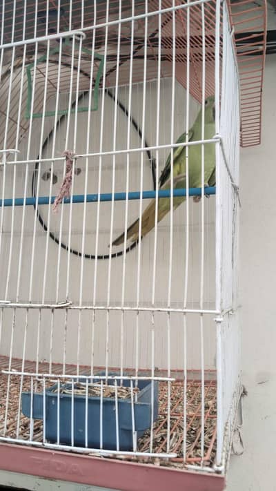 good condition