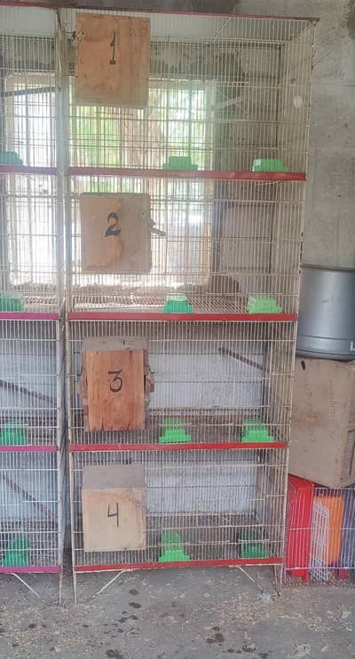4 portion cages 04 Pcs