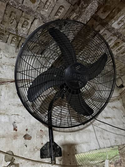 Royal Magnum Bracket Fan