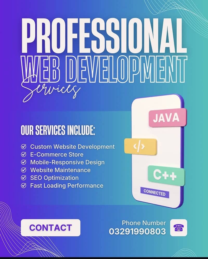 Website Developer 0