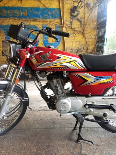 2025 cg 125 lush