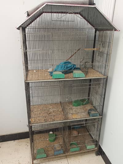 birds cage