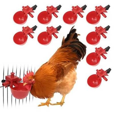 Water Cup for Hens