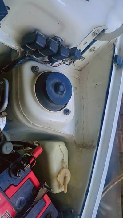 for sale