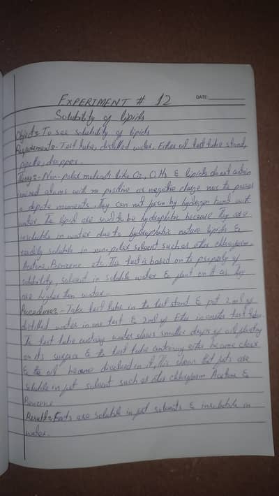 Practicle Writing Service