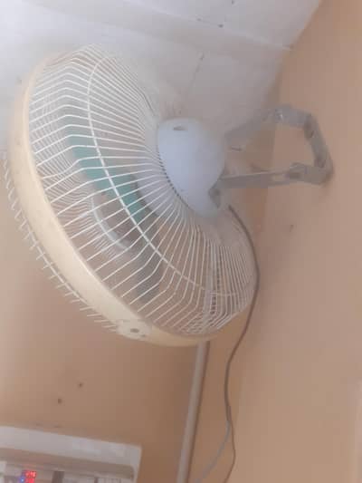 12 volt DC fan (wall mounted)