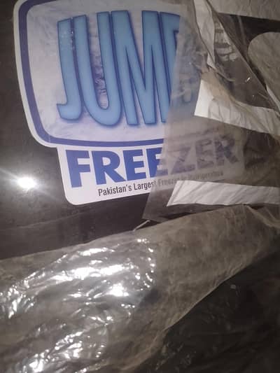 Pel jumbo freezer A plus condition 10 by 10