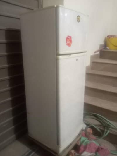 Pel Fridge Medium