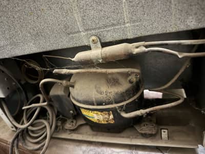LG Small Fridge (compressor not working)
