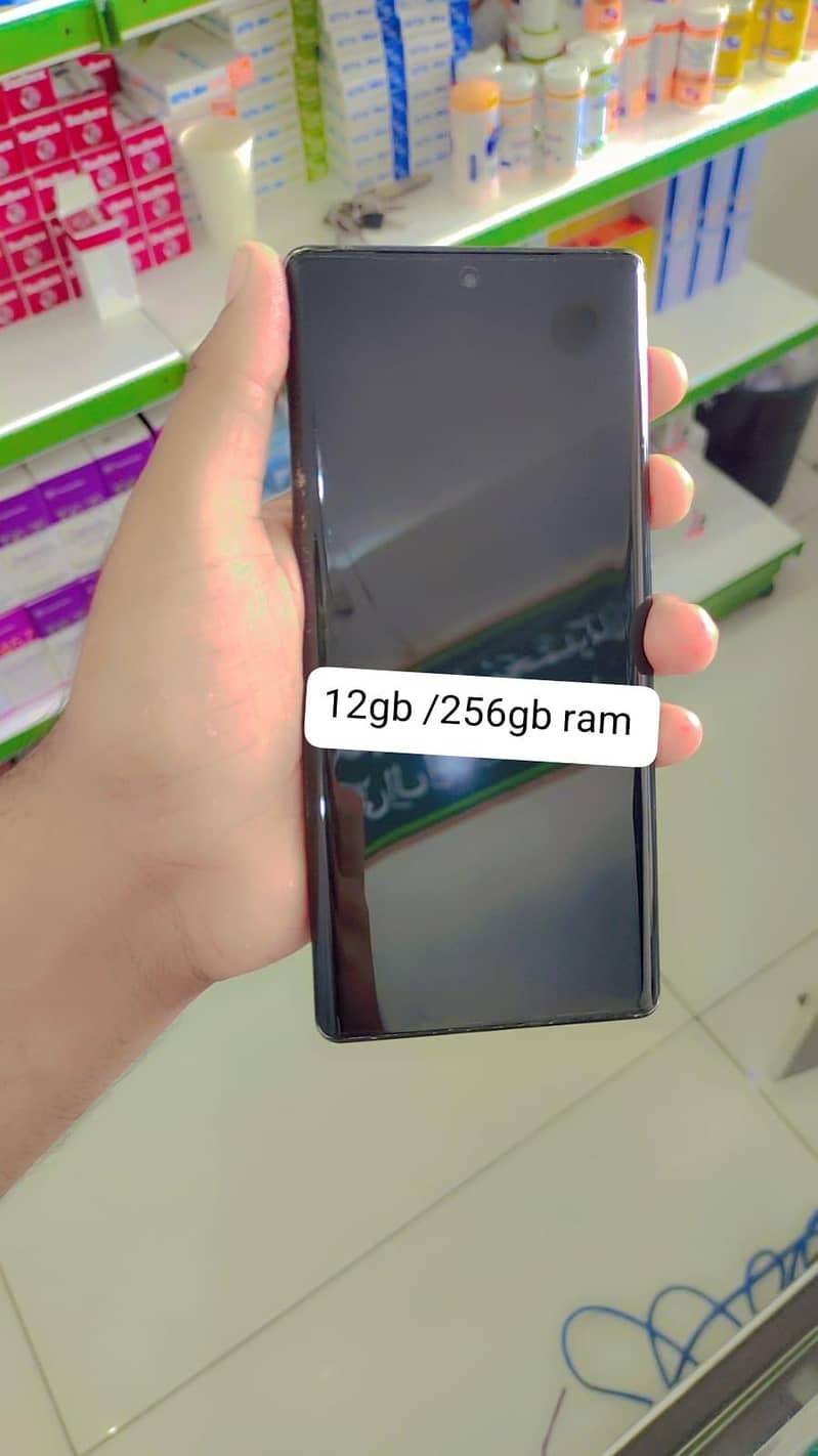 Google Pixel 6 Pro 1