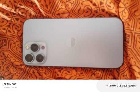 Apple iPhone 13 Pro Max
