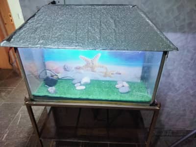 equarium in good condition