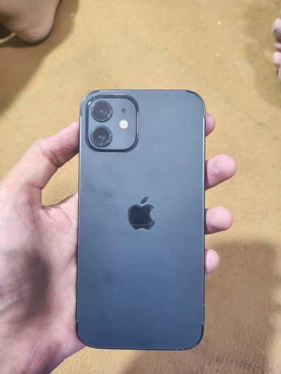Apple iPhone 12