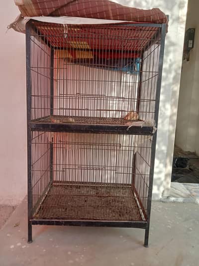 iron Cage 03700580395