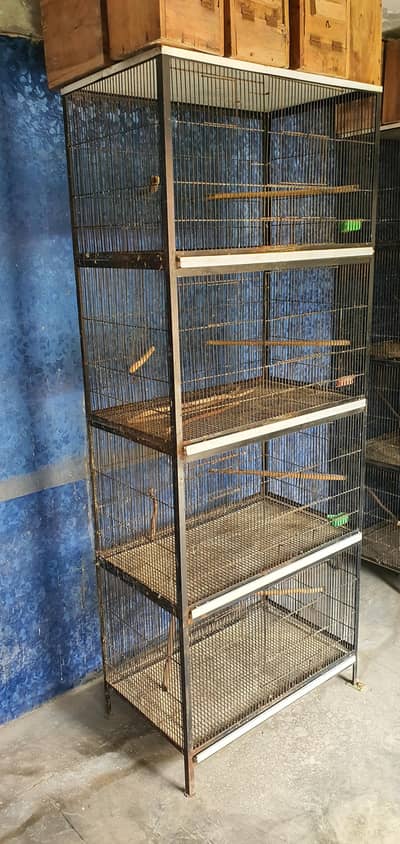Birds cage