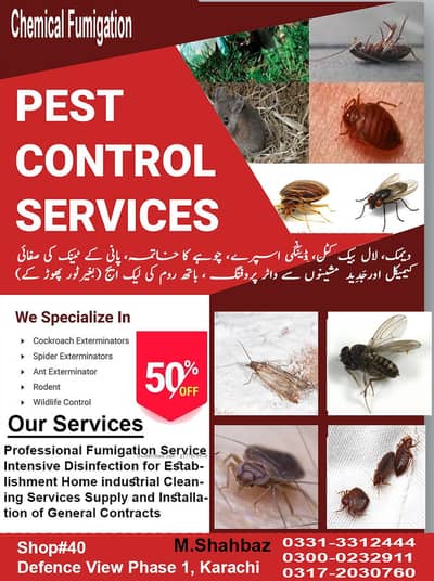 Pest Control Service karachi | Termite control | Deemak | Dangue spray