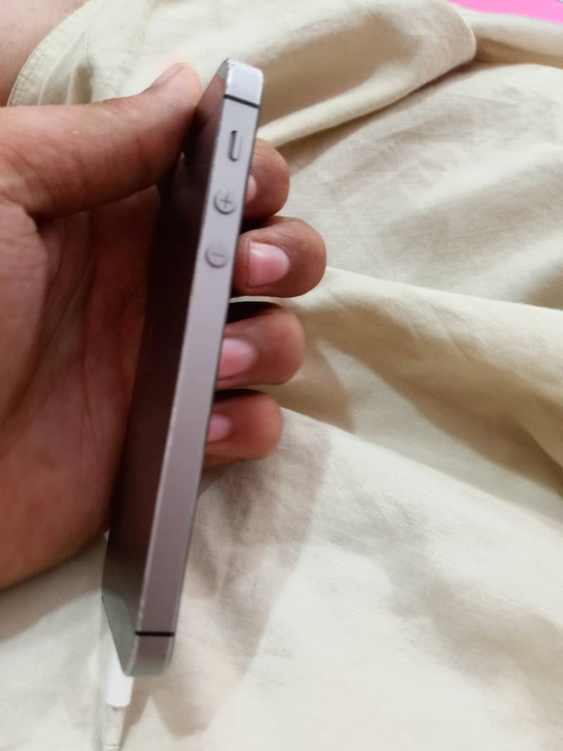 salman 1