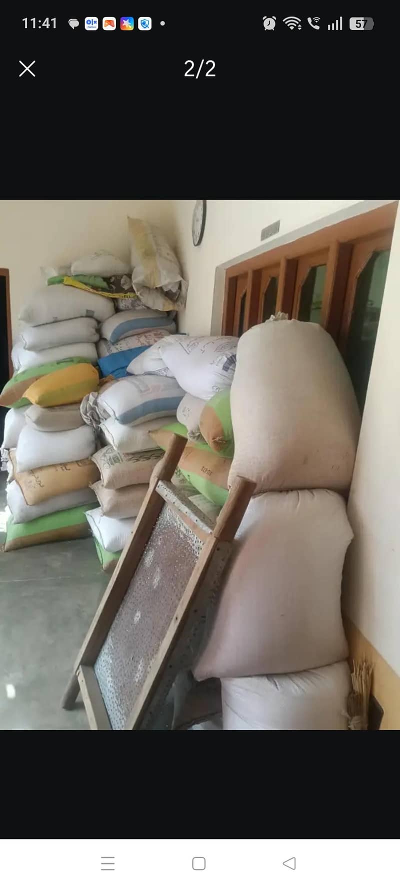 دیسی گندم ہمارے پاس دستیاب ہے 1
