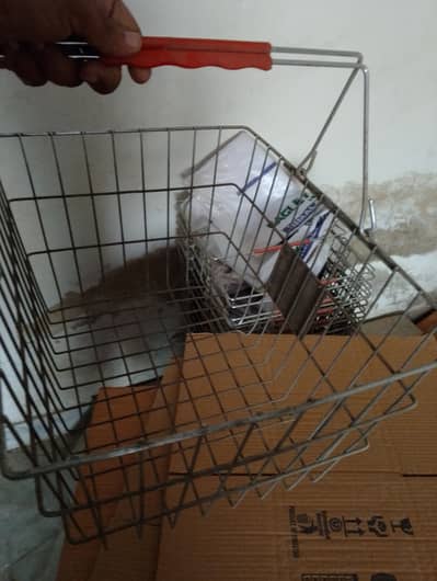 Steel basket and rolling basket