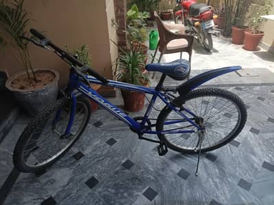 Bicycle for sale