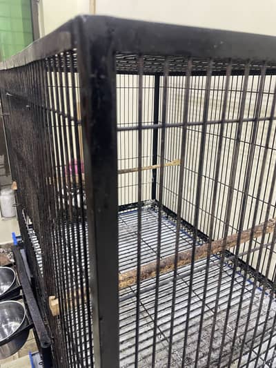 PARROT  CAGE. FOR ALL TYPE