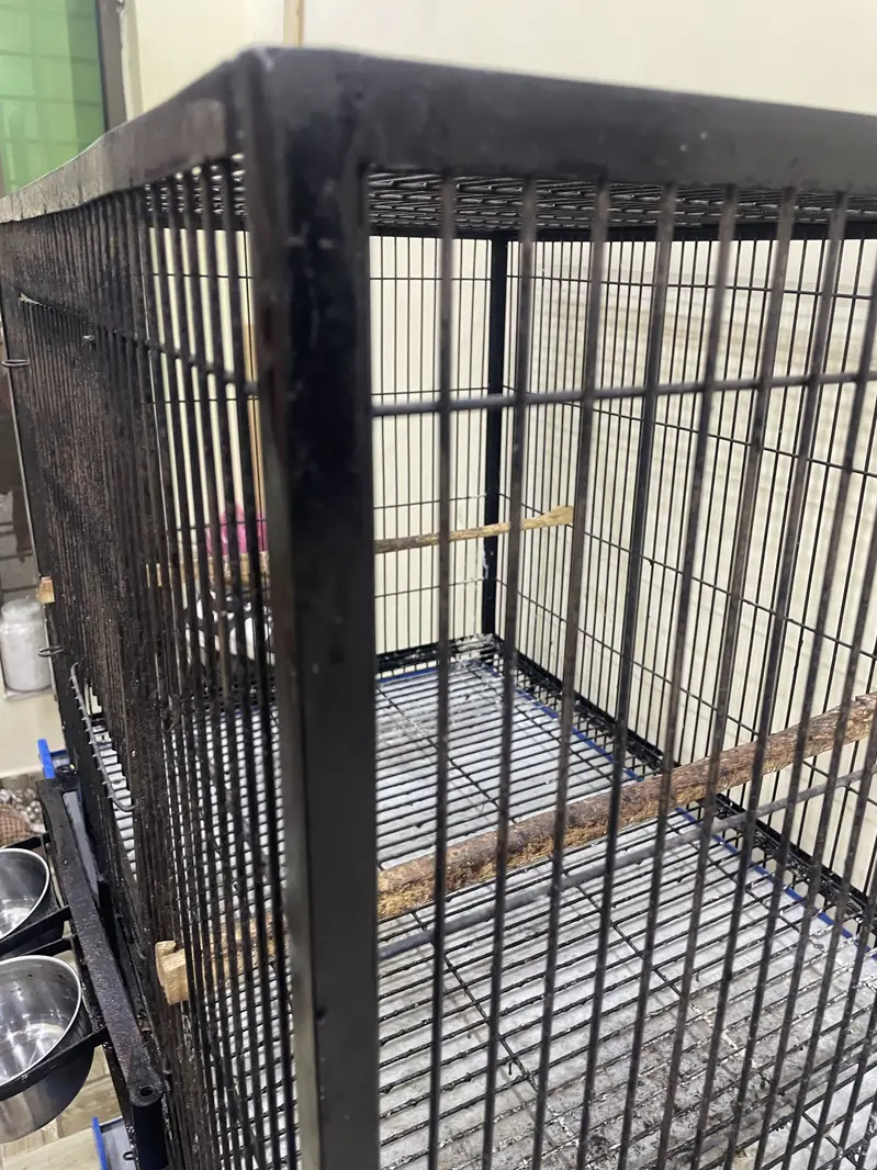 PARROT  CAGE. FOR ALL TYPE