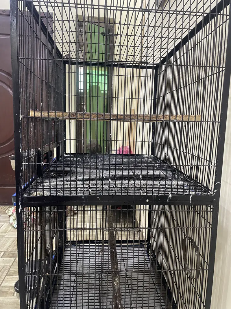 PARROT  CAGE. FOR ALL TYPE — photo 2