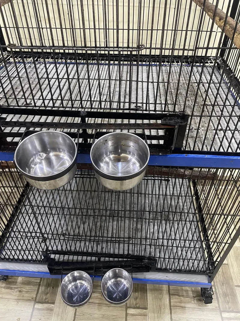 PARROT  CAGE. FOR ALL TYPE — photo 3