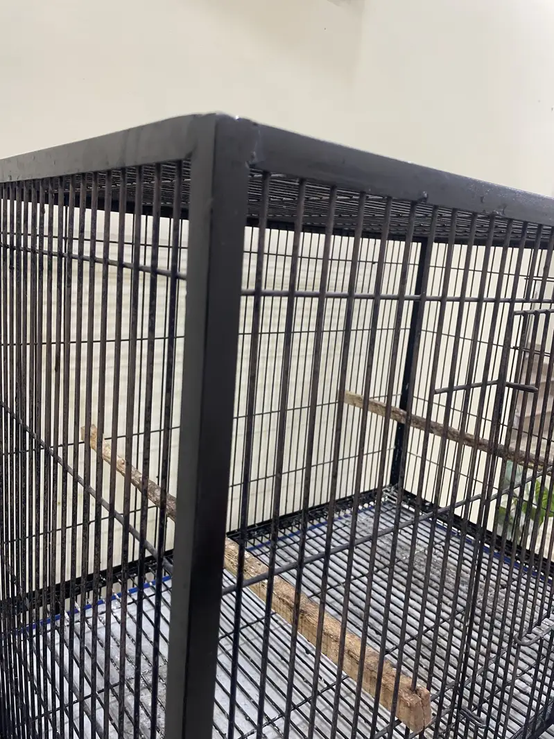 PARROT  CAGE. FOR ALL TYPE — photo 6