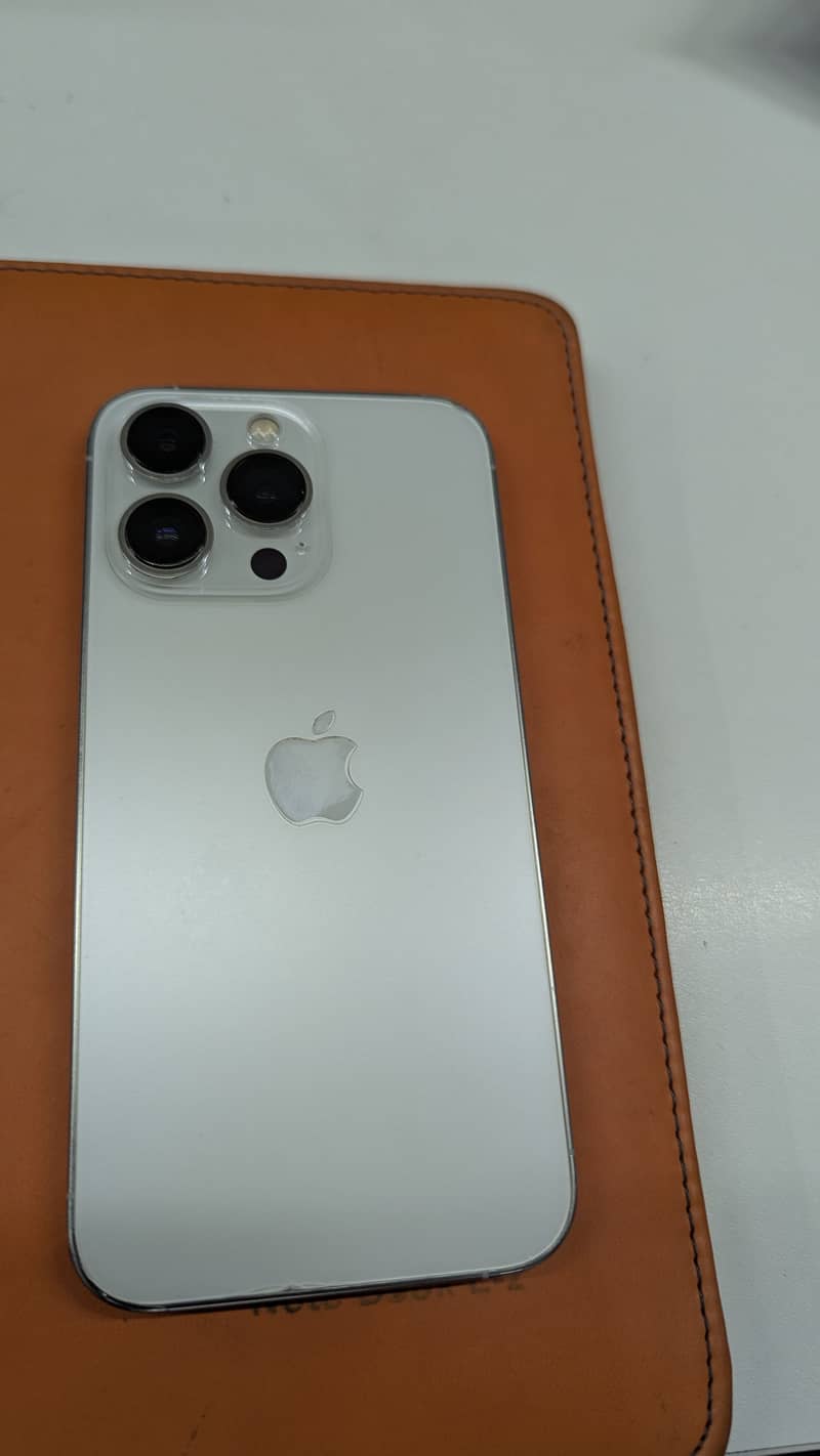 13pro 1