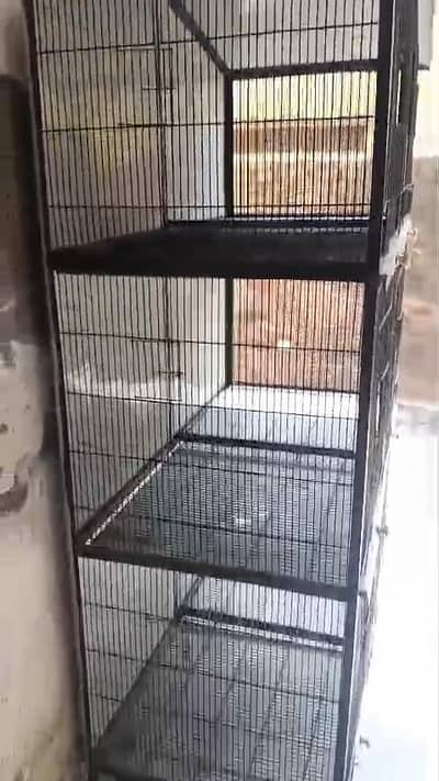 Cage 4ft Front 2ft Depth 2 height
