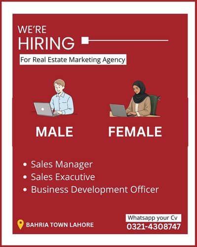 Sales job