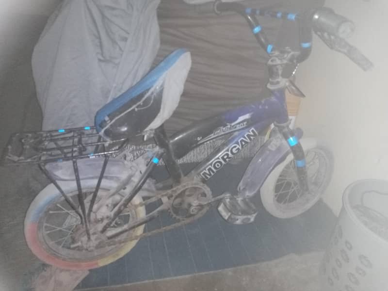 cycle 0