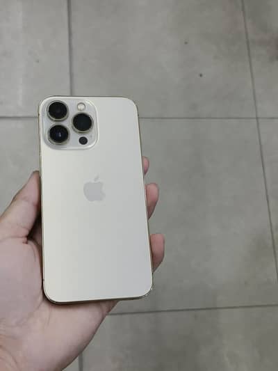 Apple iPhone 13 Pro