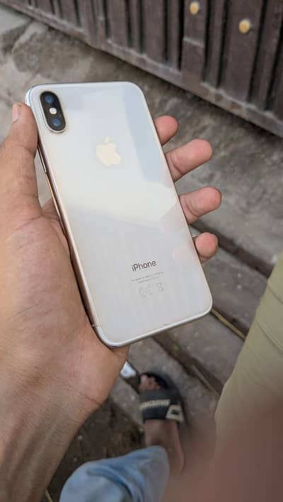 iPhone X