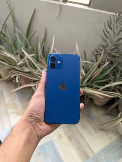 Apple iPhone 12