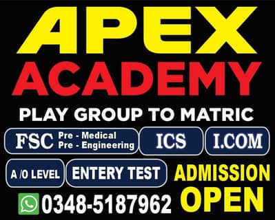 Apex Academy and Tution center