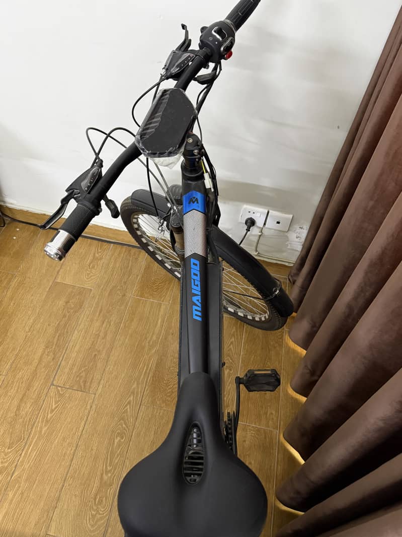 Electric Cycle 1