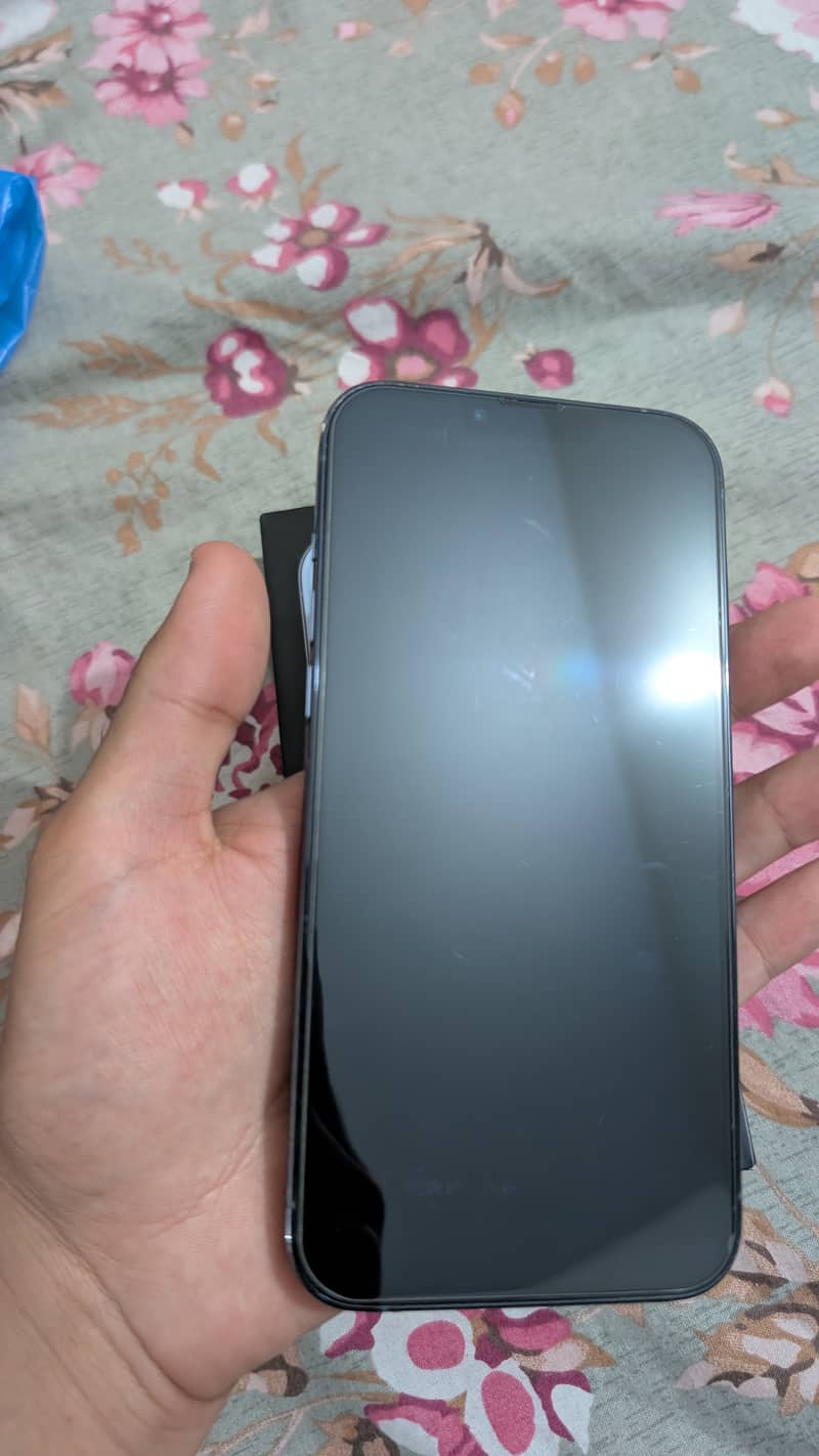 iPhone 13 Pro Max 2