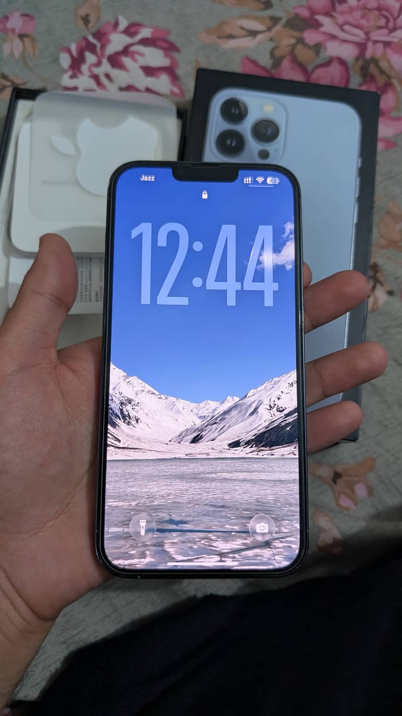 iPhone 13 Pro Max 10