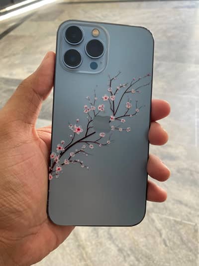 Apple iPhone 13 Pro Max