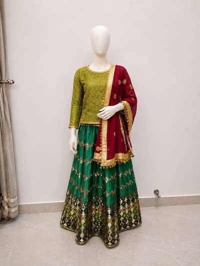 Ladies Traditional Lehenga Dress Set