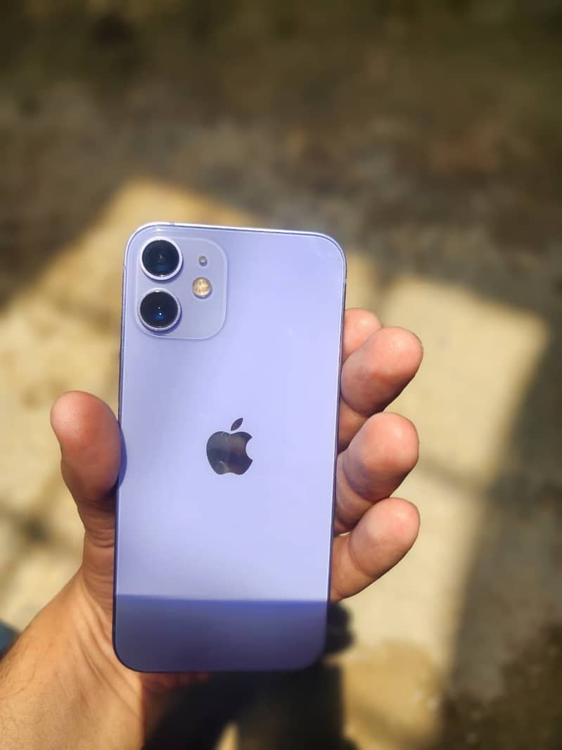 Apple iPhone 12 mini 0