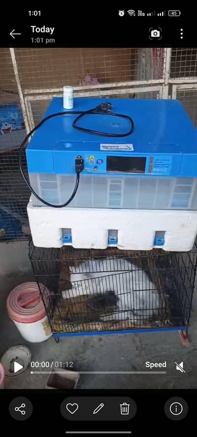 imported Full automatic incubator