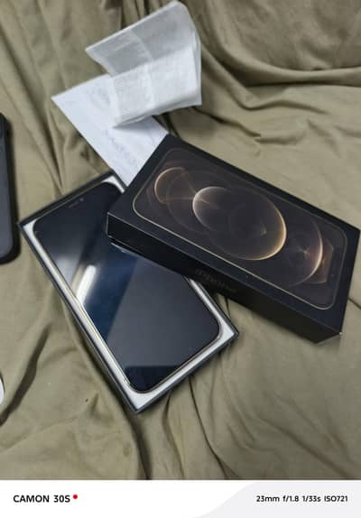 Apple iPhone 12 Pro