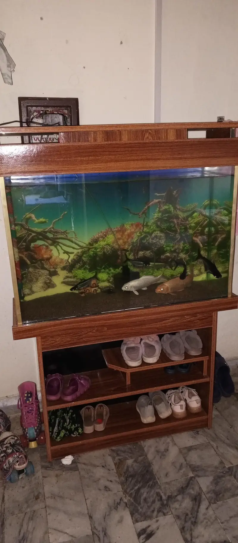 Aquarim / Fish Aquarium — photo 8