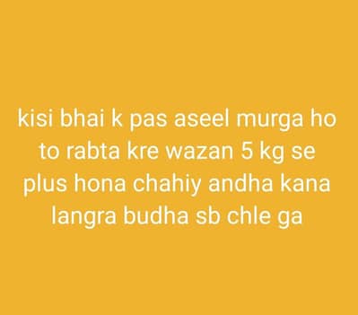 required old aseel 5kg ya plus weight ho