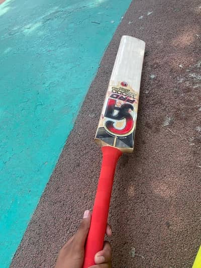 cricket bat
