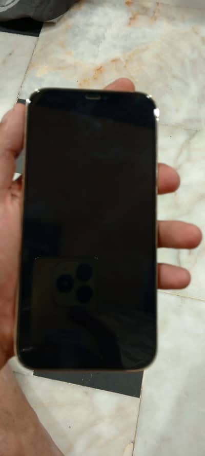 Apple iPhone 12 Pro Max