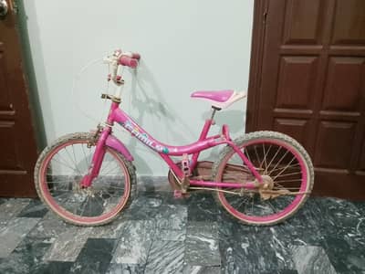 bicycle